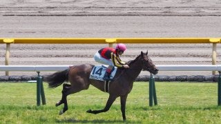 【東京5R/2歳新馬】グランアレグリア大楽勝！1:33.6の怪時計で決着