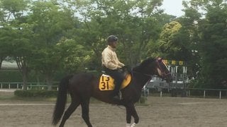 【鳴尾記念】ナスノセイカン 芝2000mはベスト