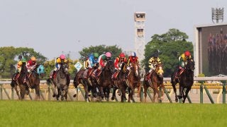 【目黒記念】デムーロ「頑張って走ってます」ジョッキー談話