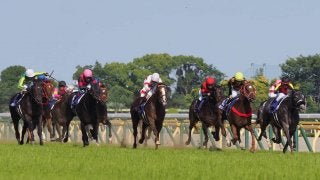 【安田記念】デムーロ「夏バテ気味だったのかも…」ジョッキー談話