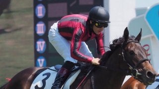 ノーザンファームが新馬戦を制圧！