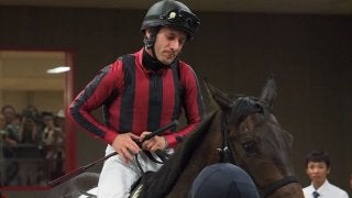 日曜東京６Ｒ新馬はロードカナロア産駒のアカネサスが１番人気にこたえる