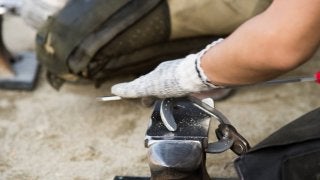 西内荘/装蹄の感触が良かった馬【6/2土曜版】