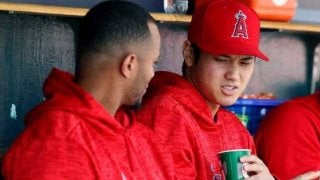 【MLB】大谷翔平、今後の中5日登板を指揮官が否定　「現時点では考えてはいない」