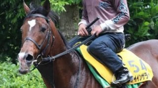 エプソムＣに「ＧＩの負けを取り戻せる、ありがたい３頭」が出走する