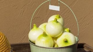体がだるい･･･身体をリセットしてくれる春野菜をピックアップ！