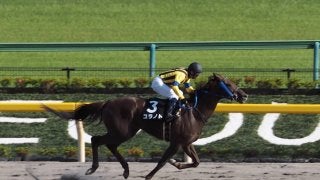 【東京11R/麦秋S】ユラノトが人気に応える！