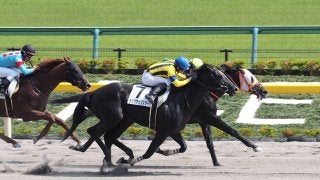 【東京8R/3歳上500万下】コスモロブロイが驚異的な差し返しを見せ快勝！