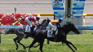 【東京6R/3歳未勝利】キンカメ産駒、ネイビーアッシュがゴール直前で差し切る！