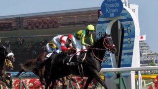 【東京10R/稲村ヶ崎特別】サトノグランが差し切る！勝ちタイムは超速の1:57.9