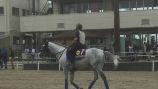 【安田記念】レッドファルクス 馬場状態や時計もポイント