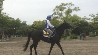 【安田記念】サトノアレス 蛯名「前走以上の状態」