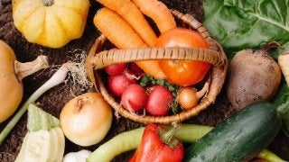 オーガニック食の基礎を学び、生活に上手に取り入れよう！