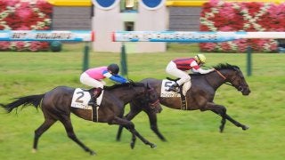 【東京8R/3歳上500万下】ウインシトリン快勝！欽ちゃん所有、ジョブックコメンは2着