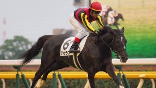 【東京新馬戦】ルメール「直線ノーステッキ」アガラスが圧巻の勝利！