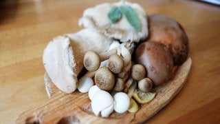 万能キノコのそれぞれの栄養比較