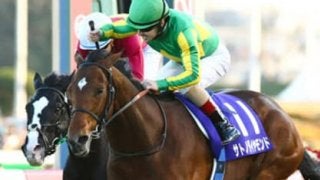 宝塚記念は、サトノダイヤモンド復活を信じていいか。マジで大丈夫か？