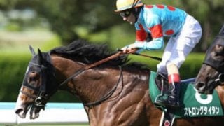 宝塚記念。夏の旅行でビジネスクラスに乗せてくれる優しい４頭がいる