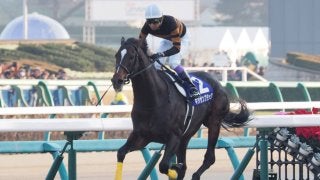 【函館9R/3歳上500万下】武豊キタサンタイドー惜しくも2着！函館競馬場ではキタサンブラック特別展示開催中