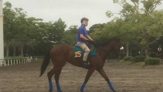 【注目新馬】17日東京芝1600 ベルクワイア 