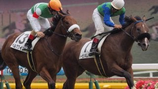 【東京5R/2歳新馬】ディープブリランテ産駒、トーセンギムレットが内から強襲！