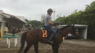 【ユニコーンS】リョーノテソーロ 芝より適性は高い