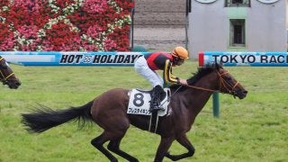 【東京8R/3歳上500万下】良血馬ブレステイキングが圧倒的人気に応える！