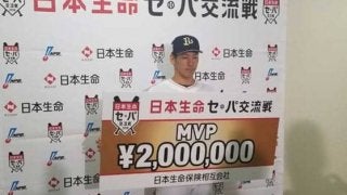 プロ野球人気は継続　交流戦の平均観客動員3万人超、ロッテは35％近い激増