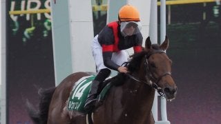 【ユニコーンS】ルメール 「力はあります」ジョッキー談話