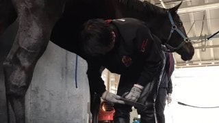 複勝率9割！装蹄師/西内荘の担当新馬が凄い件