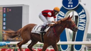 【東京1R/2歳未勝利】単勝1.2倍のウインゼノビアが大楽勝！