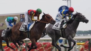 【東京5R/2歳新馬】クロフネ産駒 エメラルファイトが早め先頭から押し切る