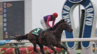 【東京8R/東京ジャンプS】10番人気サーストンコラルドが5馬身差の圧勝！障害重賞初制覇