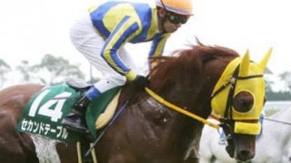 CBC賞は、この低迷馬３頭が「今年もそろそろ走るか」と言っている