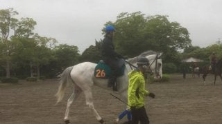 【注目新馬】ハヤヤッコ