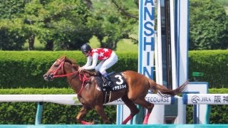 【阪神10R/花のみちS】隠れ豊マジック！武豊マテラスカイが3馬身半の逃げ切り勝ち！