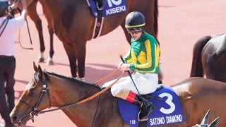 【宝塚記念】ルメール「最後はとまってしまった」サトノダイヤモンド6着敗退