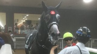 【パラダイスS】藤沢和師「落鉄する場面あった」関係者コメント