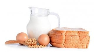 食事に偏りがある人は要注意！タンパク質の上手なとり入れ方