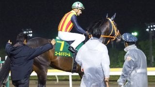 【帝王賞】ゴールドドリームは3枠4番