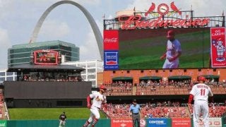 【MLB】昨季は猫、今季は…カージナルス球場スタッフ襲った爆笑必至、まさかの珍事