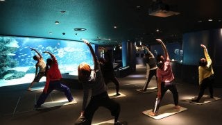池袋で朝活！サンシャインシティで非日常ヨガを楽しむ