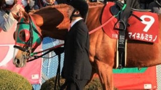 七夕賞であなたの願いを叶えるのは、穴党記者が「短冊に記した４頭」