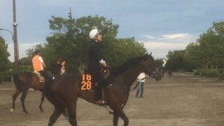 【ラジオNIKKEI賞】フィエールマン 無傷の2連勝 母はフランスの良血馬