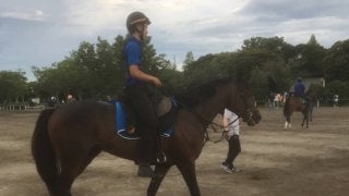 【ラジオNIKKEI賞】エイムアンドエイム 転厩初戦も実力は確か