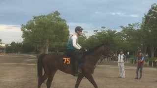 【ラジオNIKKEI賞】イェッツト 重賞でもヒケを取らない