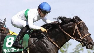 【CBC賞】川田「少し気を抜く瞬間ありました」アレスバローズが差し切りV