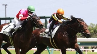 【中京6R/2歳新馬】キンシャサノキセキ産駒 ブルスクーロが素晴らしい勝負根性を発揮してデビュー勝ち！