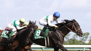 【中京11R/CBC賞】54キロ アレスバローズが上がり33.2で鋭く差し切り！重賞初制覇