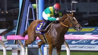 【川崎11R/スパーキングレディーC】リエノテソーロがダートで復活！早め先頭から押し切る